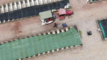 Slaughter of crocodiles for fashion accessories - Drone flyover of Darwin Crocodile Farm, Bees Creek NT. - Captured at Darwin Crocodile Farm (Porosus), Palmerston City NT Australia.