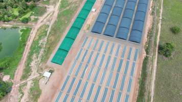 Crocodile cages and solitary stall sheds - Drone flyover of Janamba Crocodile Farm, Middle Point NT. - Captured at Janamba Crocodile Farm (Middle Point), Middle Point NT Australia.