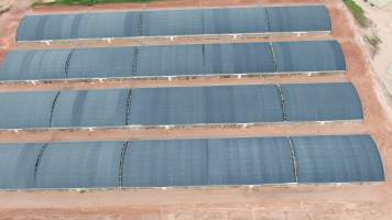 Crocodile solitary stall sheds - Drone flyover of Janamba Crocodile Farm, Middle Point NT. - Captured at Janamba Crocodile Farm (Middle Point), Middle Point NT Australia.