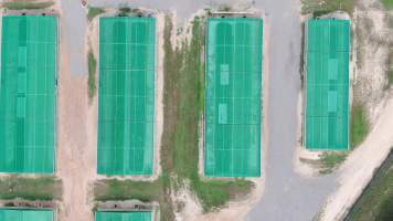 Crocodile group housing sheds - Drone flyover of Janamba Crocodile Farm, Middle Point NT. - Captured at Janamba Crocodile Farm (Middle Point), Middle Point NT Australia.