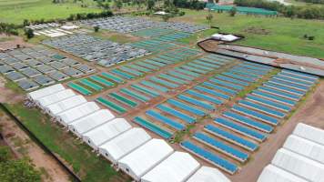 Crocodile farm - wide view - Drone flyover of Lagoon Crocodile Farm, Knuckey Lagoon NT. - Captured at Lagoon Crocodile Farm, Knuckey Lagoon NT Australia.