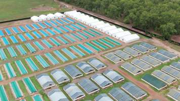 Crocodile farm - wide view - Drone flyover of Lagoon Crocodile Farm, Knuckey Lagoon NT. - Captured at Lagoon Crocodile Farm, Knuckey Lagoon NT Australia.