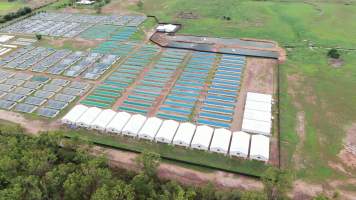 Crocodile farm - wide view - Drone flyover of Lagoon Crocodile Farm, Knuckey Lagoon NT. - Captured at Lagoon Crocodile Farm, Knuckey Lagoon NT Australia.