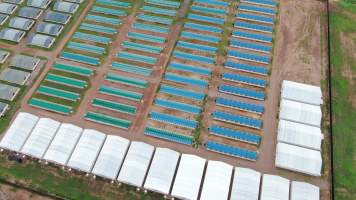 Crocodile cages and solitary stall sheds - Drone flyover of Lagoon Crocodile Farm, Knuckey Lagoon NT. - Captured at Lagoon Crocodile Farm, Knuckey Lagoon NT Australia.