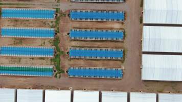 Crocodile cages and solitary stall sheds - Drone flyover of Lagoon Crocodile Farm, Knuckey Lagoon NT. - Captured at Lagoon Crocodile Farm, Knuckey Lagoon NT Australia.