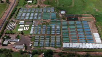 Crocodile farm - wide view - Drone flyover of Lagoon Crocodile Farm, Knuckey Lagoon NT. - Captured at Lagoon Crocodile Farm, Knuckey Lagoon NT Australia.