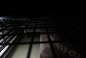 Crocodile in cage - Captured at Lagoon Crocodile Farm, Knuckey Lagoon NT Australia.