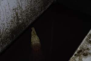 Crocodile in solitary stall - Captured at Lagoon Crocodile Farm, Knuckey Lagoon NT Australia.