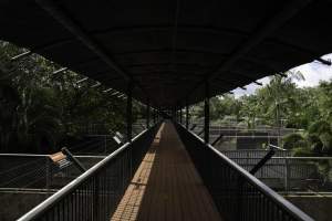 Crocodile pens at zoo - Captured at Crocodylus Park Farm & Abattoir, Knuckey Lagoon NT Australia.