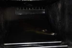 Crocodile in cage - Hidden crocodile farm at Crocodylus Park & Zoo - Captured at Crocodylus Park Farm & Abattoir, Knuckey Lagoon NT Australia.