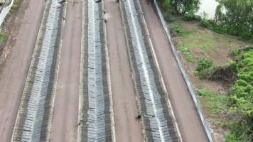 Cages at hidden Crocodylus crocodile farm - Drone flyover - Captured at Crocodylus Park, Knuckey Lagoon NT Australia.