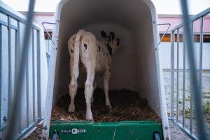 Dairy farms taken between 2019-2021