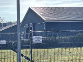 Egg farms from close up - Captured at Landkost-Ei, Bestensee BB Germany.