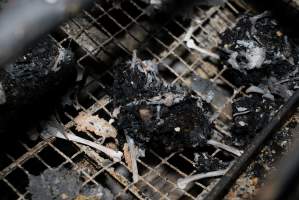 Egg Farm Fire Aftermath - Farm Transparency Project investigators visited the aftermath of a blaze that broke out on Tuesday at a Victorian egg farm. An estimated 45,000 layer hens, housed in a 'barn laid' system, perished in the inferno. - Captured at Kinross egg farm, Carisbrook VIC Australia.