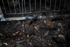 Egg Farm Fire Aftermath - Farm Transparency Project investigators visited the aftermath of a blaze that broke out on Tuesday at a Victorian egg farm. An estimated 45,000 layer hens, housed in a 'barn laid' system, perished in the inferno. - Captured at Kinross egg farm, Carisbrook VIC Australia.