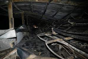 Egg Farm Fire Aftermath - Farm Transparency Project investigators visited the aftermath of a blaze that broke out on Tuesday at a Victorian egg farm. An estimated 45,000 layer hens, housed in a 'barn laid' system, perished in the inferno. - Captured at Kinross egg farm, Carisbrook VIC Australia.