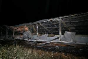 Egg Farm Fire Aftermath - Farm Transparency Project investigators visited the aftermath of a blaze that broke out on Tuesday at a Victorian egg farm. An estimated 45,000 layer hens, housed in a 'barn laid' system, perished in the inferno. - Captured at Kinross egg farm, Carisbrook VIC Australia.