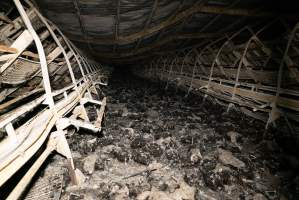 Egg Farm Fire Aftermath - Farm Transparency Project investigators visited the aftermath of a blaze that broke out on Tuesday at a Victorian egg farm. An estimated 45,000 layer hens, housed in a 'barn laid' system, perished in the inferno. - Captured at Kinross egg farm, Carisbrook VIC Australia.