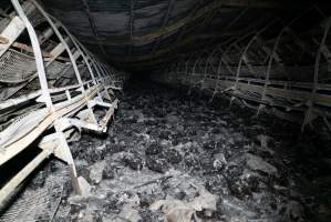 Egg Farm Fire Aftermath - Farm Transparency Project investigators visited the aftermath of a blaze that broke out on Tuesday at a Victorian egg farm. An estimated 45,000 layer hens, housed in a 'barn laid' system, perished in the inferno. - Captured at Kinross egg farm, Carisbrook VIC Australia.