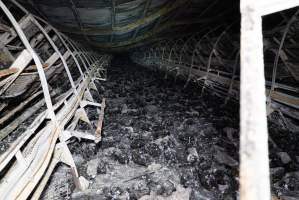 Egg Farm Fire Aftermath - Farm Transparency Project investigators visited the aftermath of a blaze that broke out on Tuesday at a Victorian egg farm. An estimated 45,000 layer hens, housed in a 'barn laid' system, perished in the inferno. - Captured at Kinross egg farm, Carisbrook VIC Australia.