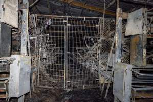 Egg Farm Fire Aftermath - Farm Transparency Project investigators visited the aftermath of a blaze that broke out on Tuesday at a Victorian egg farm. An estimated 45,000 layer hens, housed in a 'barn laid' system, perished in the inferno. - Captured at Kinross egg farm, Carisbrook VIC Australia.