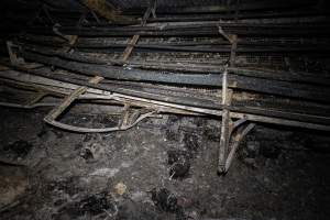 Egg Farm Fire Aftermath - Farm Transparency Project investigators visited the aftermath of a blaze that broke out on Tuesday at a Victorian egg farm. An estimated 45,000 layer hens, housed in a 'barn laid' system, perished in the inferno. - Captured at Kinross egg farm, Carisbrook VIC Australia.