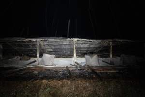 Egg Farm Fire Aftermath - Farm Transparency Project investigators visited the aftermath of a blaze that broke out on Tuesday at a Victorian egg farm. An estimated 45,000 layer hens, housed in a 'barn laid' system, perished in the inferno. - Captured at Kinross egg farm, Carisbrook VIC Australia.