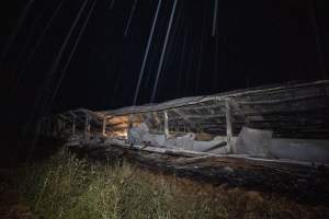 Egg Farm Fire Aftermath - Farm Transparency Project investigators visited the aftermath of a blaze that broke out on Tuesday at a Victorian egg farm. An estimated 45,000 layer hens, housed in a 'barn laid' system, perished in the inferno. - Captured at Kinross egg farm, Carisbrook VIC Australia.