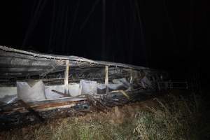 Egg Farm Fire Aftermath - Farm Transparency Project investigators visited the aftermath of a blaze that broke out on Tuesday at a Victorian egg farm. An estimated 45,000 layer hens, housed in a 'barn laid' system, perished in the inferno. - Captured at Kinross egg farm, Carisbrook VIC Australia.