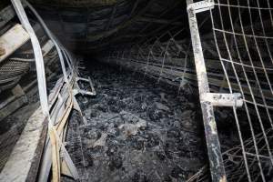 Egg Farm Fire Aftermath - Farm Transparency Project investigators visited the aftermath of a blaze that broke out on Tuesday at a Victorian egg farm. An estimated 45,000 layer hens, housed in a 'barn laid' system, perished in the inferno. - Captured at Kinross egg farm, Carisbrook VIC Australia.