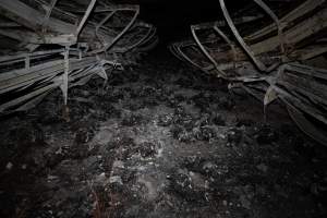 Egg Farm Fire Aftermath - Farm Transparency Project investigators visited the aftermath of a blaze that broke out on Tuesday at a Victorian egg farm. An estimated 45,000 layer hens, housed in a 'barn laid' system, perished in the inferno. - Captured at Kinross egg farm, Carisbrook VIC Australia.