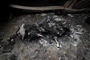 Egg Farm Fire Aftermath - Farm Transparency Project investigators visited the aftermath of a blaze that broke out on Tuesday at a Victorian egg farm. An estimated 45,000 layer hens, housed in a 'barn laid' system, perished in the inferno. - Captured at Kinross egg farm, Carisbrook VIC Australia.