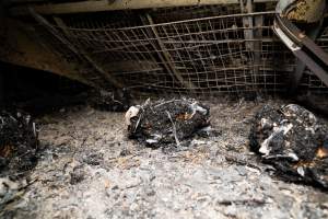 Egg Farm Fire Aftermath - Farm Transparency Project investigators visited the aftermath of a blaze that broke out on Tuesday at a Victorian egg farm. An estimated 45,000 layer hens, housed in a 'barn laid' system, perished in the inferno. - Captured at Kinross egg farm, Carisbrook VIC Australia.