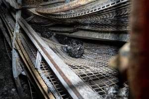 Egg Farm Fire Aftermath - Farm Transparency Project investigators visited the aftermath of a blaze that broke out on Tuesday at a Victorian egg farm. An estimated 45,000 layer hens, housed in a 'barn laid' system, perished in the inferno. - Captured at Kinross egg farm, Carisbrook VIC Australia.