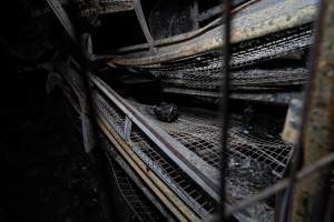 Egg Farm Fire Aftermath - Farm Transparency Project investigators visited the aftermath of a blaze that broke out on Tuesday at a Victorian egg farm. An estimated 45,000 layer hens, housed in a 'barn laid' system, perished in the inferno. - Captured at Kinross egg farm, Carisbrook VIC Australia.