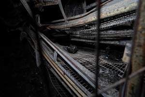 Egg Farm Fire Aftermath - Farm Transparency Project investigators visited the aftermath of a blaze that broke out on Tuesday at a Victorian egg farm. An estimated 45,000 layer hens, housed in a 'barn laid' system, perished in the inferno. - Captured at Kinross egg farm, Carisbrook VIC Australia.