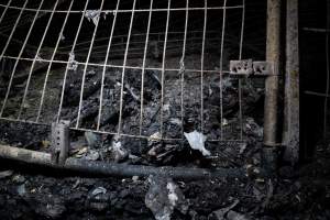 Egg Farm Fire Aftermath - Farm Transparency Project investigators visited the aftermath of a blaze that broke out on Tuesday at a Victorian egg farm. An estimated 45,000 layer hens, housed in a 'barn laid' system, perished in the inferno. - Captured at Kinross egg farm, Carisbrook VIC Australia.