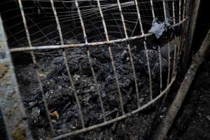 Egg Farm Fire Aftermath - Farm Transparency Project investigators visited the aftermath of a blaze that broke out on Tuesday at a Victorian egg farm. An estimated 45,000 layer hens, housed in a 'barn laid' system, perished in the inferno. - Captured at Kinross egg farm, Carisbrook VIC Australia.