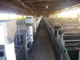 Real estate listing photo - Captured at Stanhope Piggery, Bamawm VIC Australia.