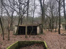 Abandoned Mink Farms - Abandoned mink farms in Brandenburg-Germany