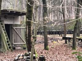 Abandoned Mink Farms - Abandoned mink farms in Brandenburg-Germany