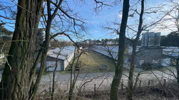 Egg farms from close up - Captured at Landkost-Ei, Bestensee BB Germany.