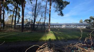 Egg farms from close up - Captured at Landkost-Ei, Bestensee BB Germany.