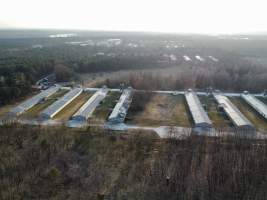 Poultry farms Königs Wusterhausen - Drone fly-over poultry farms. - Captured at Unknown, Zernsdorf BB Germany.