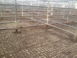 Old facilities, no shade cover, hard surfaces - Captured at Boyanup Saleyard, Boyanup WA Australia.