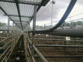 More piping and the effluent drain - Captured at Boyanup Saleyard, Boyanup WA Australia.