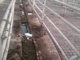 Drain between holding pens - Captured at Boyanup Saleyard, Boyanup WA Australia.