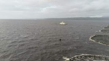 Drone flyover of offshore salmon farm - Floating sea cages containing farmed salmon, in Macquarie Harbour, near Strahan, Tasmania. - Captured at TAS.