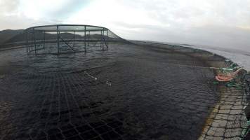 Edge of floating sea cage salmon farm - Macquarie Harbour, Tasmania. Still captured from video footage.