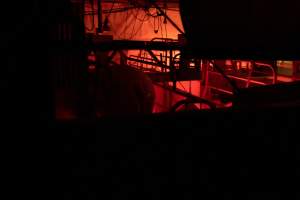 Farrowing shed through ventilation - Captured at Ludale Piggery, Reeves Plains SA Australia.